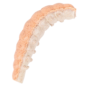 Berkley gumová nástraha powerbait power honey worm 2,5 cm 55 ks orange pearl