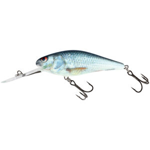 Salmo wobler executor 5 super deep runner limited edition models real dace 5 cm